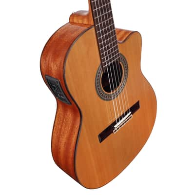 Alvarez AC65CE - Classical / Electric Guitar (NEW DEMO) image 6