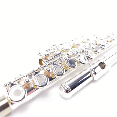 Di Zhao DZ 401 E Flute Open Hole B Foot Split E Silver Lip Intermediate NEW image 8