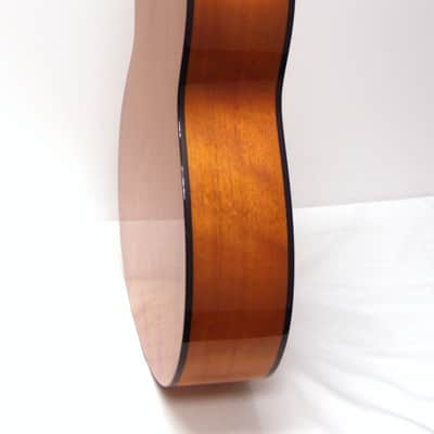 Fender FR-50 Round Neck Resonator Acoustic Guitar - Sunburst image 4