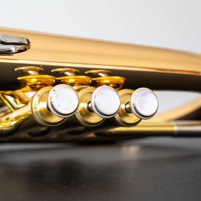 Yamaha YFH-8315IIG Custom Bb Flugelhorn (SN 4750xx) image 10