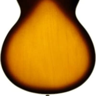 Ibanez JSM10EM TTB John Scofield Signature Semi Hollowbody Electric Guitar. 2 Tone Burst image 4
