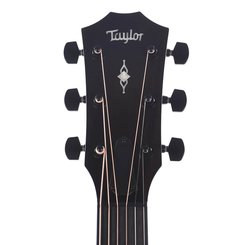 Taylor 322e with V-Class Bracing image 6