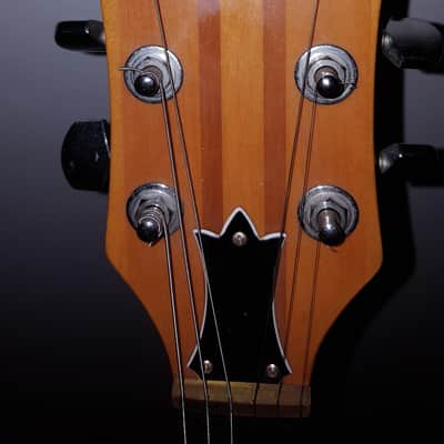 Vintage Midco Lotus L-1000 Electric Guitar Double Cutaway Two Tone  White Ash & Walnut Neck Thru Body FREE SHIPPING!! image 4