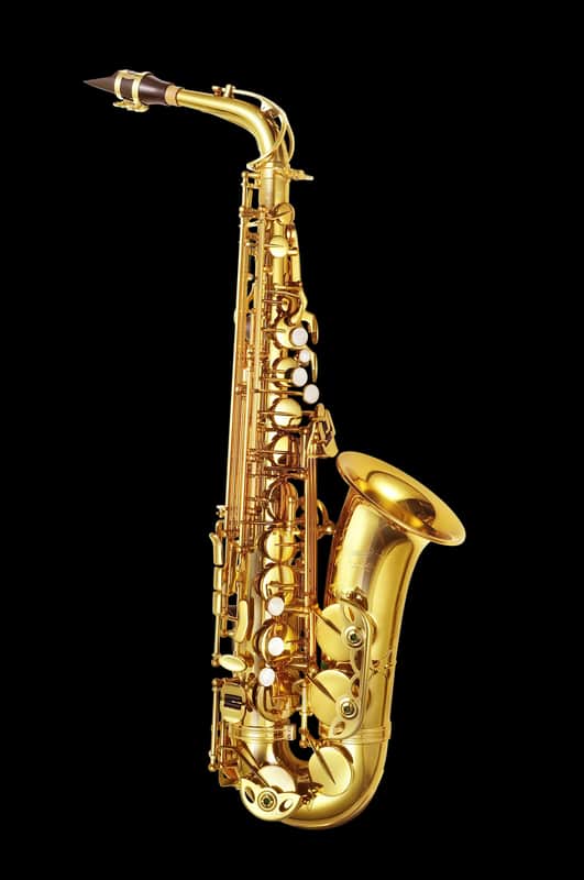 P. Mauriat PMSA-185ABS Advanced Alto Saxophone Outfit - Gold Lacquer image 1