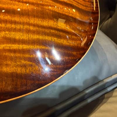 Paul Reed Smith (PRS) 2020 Wood Library Hollowbody II Piezo 10-Top Black Gold Burst Pattern Neck [20 0307130] (05/05) image 18