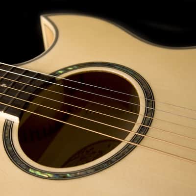 Washburn EA20 Festival Acoustic Electric Guitar Natural image 6