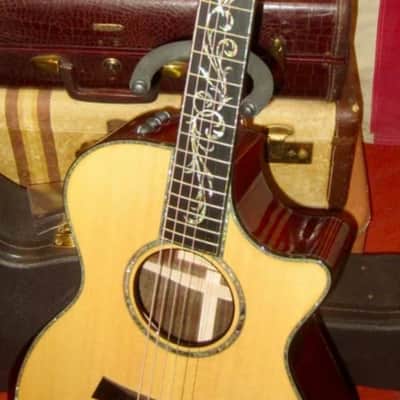 Taylor PS12ce presentation 2024- Gloss image 2