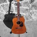 1980's Fender Newporter
