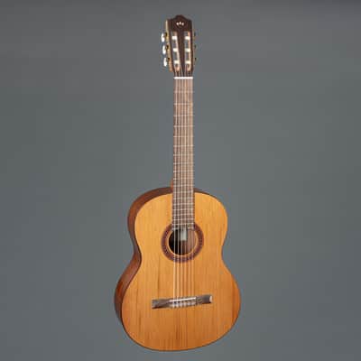 Cordoba C5 CD - 4/4 classical guitar image 9