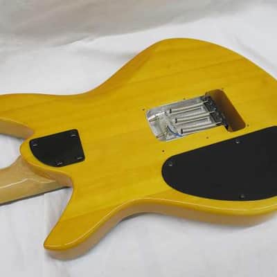 Avian Swift Electric Guitar Lightweight and Versatile | Reverb