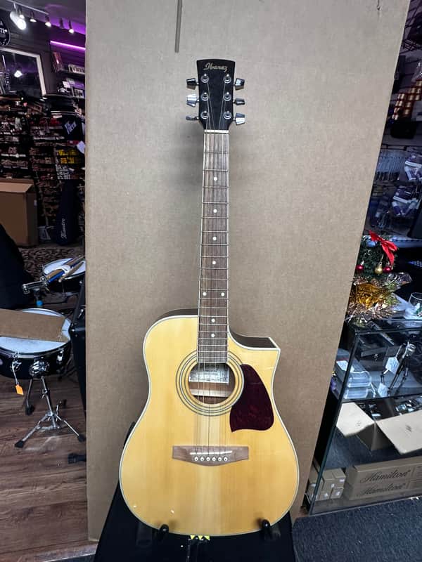Ibanez DT100ECE-NT 2Y-01 Acoustic-Electric Guitar - Natural Wood image 1
