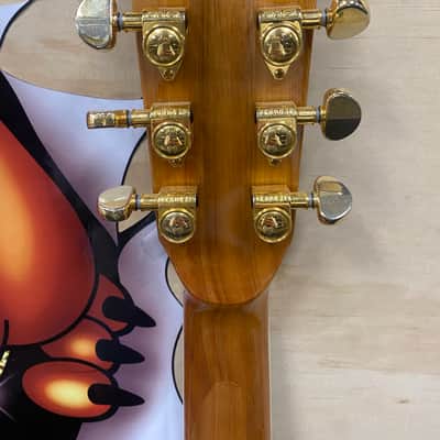 Zager ZAD-80/N Cedar/ Rosewood Acoustic Guitar image 8