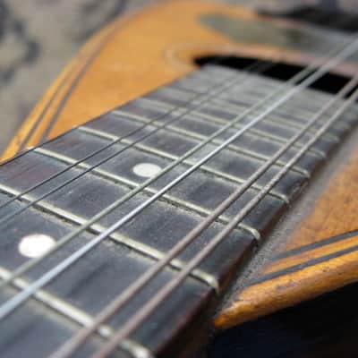 Louis Sutz Bowl Back Mandolin 1900ish image 7