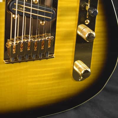 Fender Richie Kotzen Telecaster Brown Sunburst Maple Fingerboard image 3