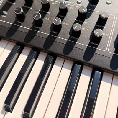 Dave Smith Instruments Prophet 08 PE [MINT!] image 4