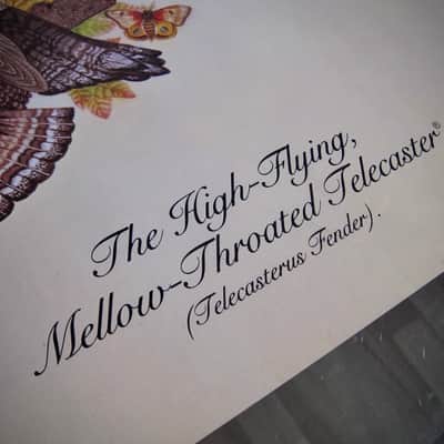 Fender Telecaster & Twin Reverb Authentic Vintage Poster "The High-Flying Mellow-Throated Telecaster" Artist Endicott Circa-1976-Multi Color image 15