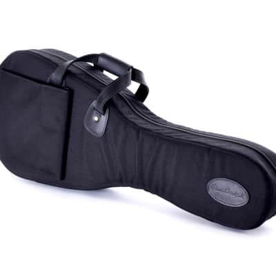Mandolin Gig Bag - Various Sizes - Leather - Glenn Cronkhite image 3