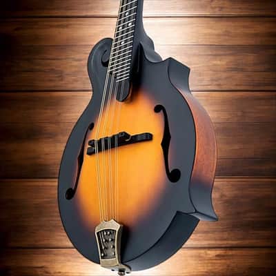 Washburn M108SWK Mandolin w/ Case, Free Shipping, Authorized Dealer (B-Stock) image 5