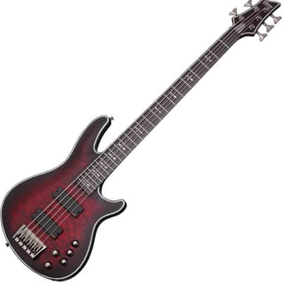 即発送 SCHECTER HELLRAISER-5 5弦ベース 調整済み 即発送 SCHECTER HELLRAISER-5 5弦ベース 調整済み SCHECTER
