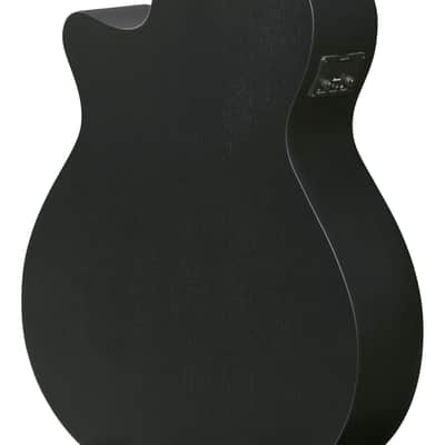 Ibanez AEG1221-BOT image 4