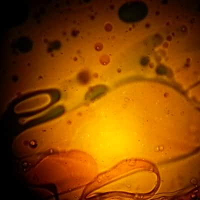 (3) Can You Imagine RARE Liquid Light Projector 2000's Psychedelic Show Oil Wheel Light Projection image 7