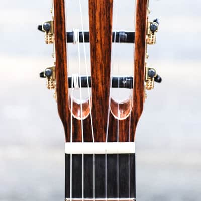 Manuel Rodriguez Superior Series C-S Solid Spruce Top 4/4 Size Classical Guitar image 5