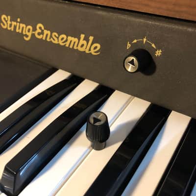 Solina String Ensemble - ARP - tuning knob