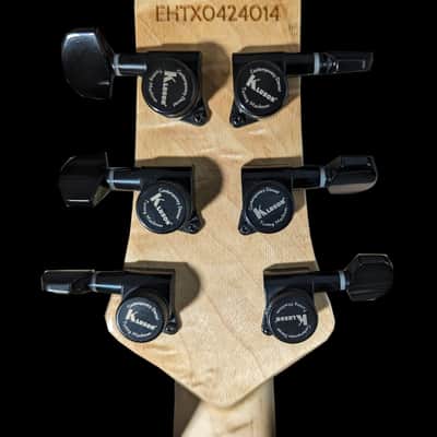 Ellis Guitars NS2 image 5