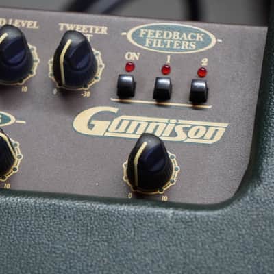 Crate Gunnison Acoustic Amp – Mid-2000s, Warm Tone, 2-Channel – Free Shipping Canada image 5