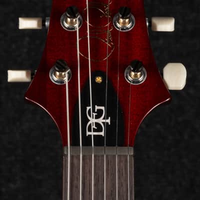 Paul Reed Smith DGT 10-Top Birds - Dark Cherry Burst image 11