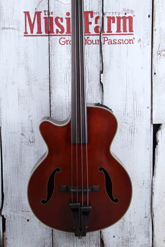 Takamine TB10LH 4 String Fretless Upright Acoustic Electric Bass Guitar w Case image 1