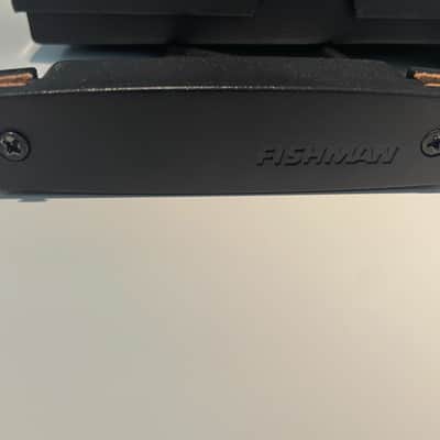 Fishman PRO-NEO-D02 Passive Soundhole Pickup 2010s - Standard image 2