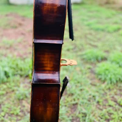 Immagine Giuseppe Petrazzini Cello 1890's Italian Labeled - 3