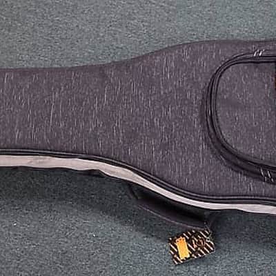 Dingwall Combustion 5 (3 Pickup), Whalepool Burst/Pau Ferro *On Order, ETA Jan. 2023 image 7