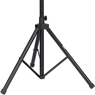 Mackie C200 Compact Passive, Unpowered SR Monitor Loudspeaker (1x10") image 6