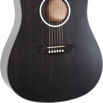 Washburn 6 String Acoustic Guitar, Right, Striped Ebony (DFED) image 3