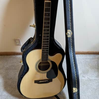 Zager EZ play acoustic guitar image 9