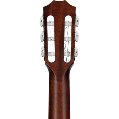 Taylor 314ce-N Grand Auditorium Classical Acoustic-Electric Guitar, with Case image 8