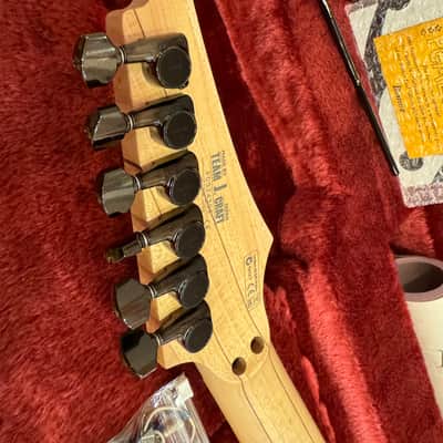 Ibanez PGM300RE-WH 20th Anniversary Paul Gilbert Signature 2009 - White image 15