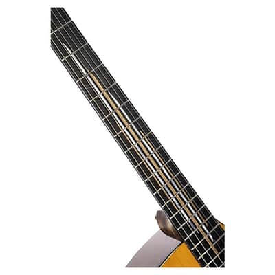 Cort Frank Gambale Signature LUXE II Acoustic-Electric w/Case, Video Demo, Fishman Flex Blend System image 5
