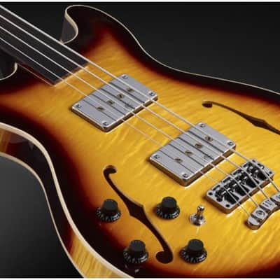 Warwick German Pro Series Star Bass, 4-String - Vintage Sunburst High Polish, Lefty, Fretless image 2