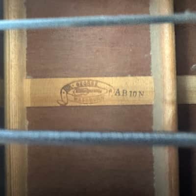 Washburn AB-10 - Natural image 13