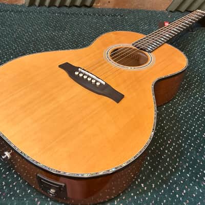 PRS PPE50 - Parlor Size Acoustic Guitar with Built-In Fishman Pickup and Padded Bag image 11