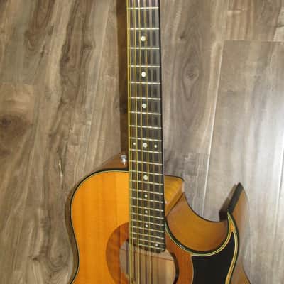 1971 Smith BW-18-P 18-String Cutaway image 9