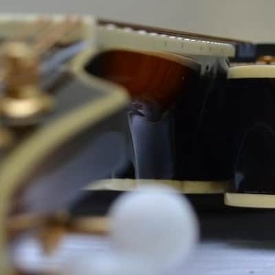 Orpheum OM6SW F-Style Mandolin-All Solid Top, Back & Sides- by Tacoma image 16