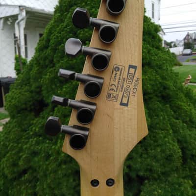 Ibanez RG5EX1 Flat Gray image 10