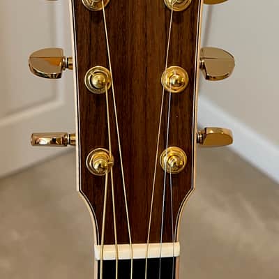Yamaha LS36 2019 - Natural image 4