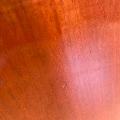 Gibson X-Plorer (Explorer) 2002 - 2008 - Worn Brown image 5