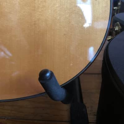 Larrivee Ls-19 Gloss image 4