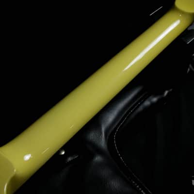 ESP MX220 EET FUK 2nd version (METALLICA James Hetfield Signature MODEL) image 17